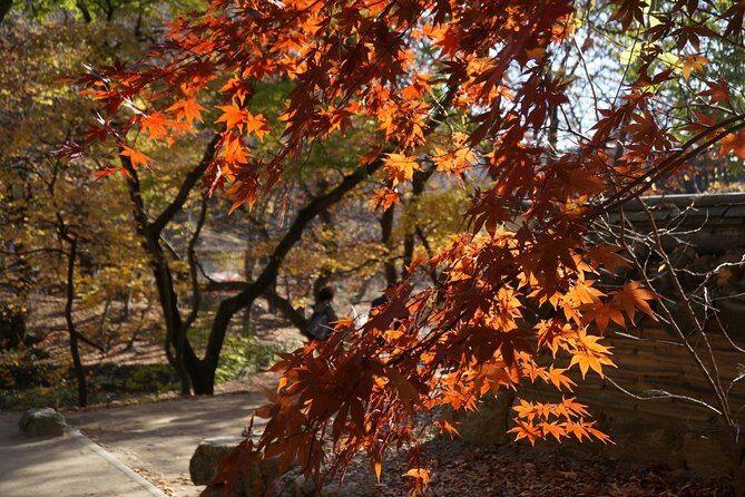 Songnisan National Park & Beopjusa Temple UNESCO site Private Tour - Tickets, transport, and a $248 price that can make sense