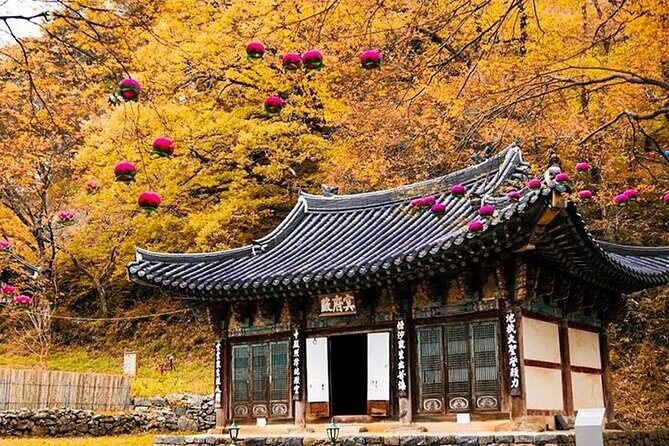 South Korea Highlights 7D/6N - Andong to Pyeongchang: Hahoe Village, Hanji Paper, and Samgyeopsal