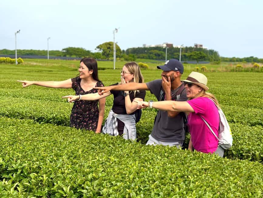 Southern Jeju Healing UNESCO Small Group Day Tour - Stop-by-Stop: Mysterious Road, Hallasan Oreums, and the View Climb