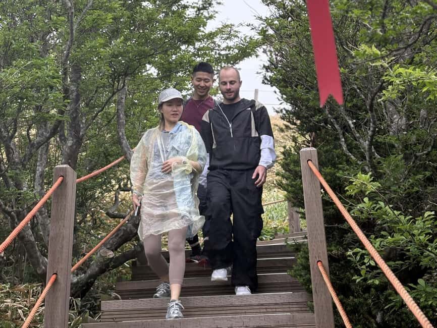 Southern Jeju Healing UNESCO Small Group Day Tour - Jusangjeolli and the Black Lava Coast: Big-Scale Views Without a Hard Sell