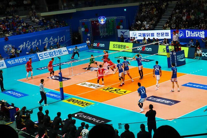 Sports Match in Seoul with Guided K-Food Experience - Food and drinks: what to expect before and during the match