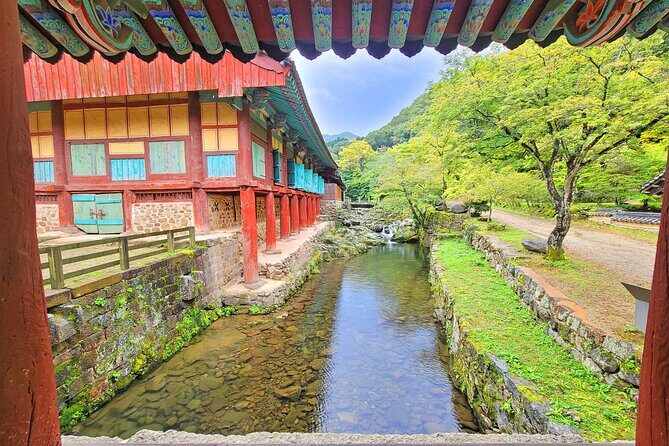 Suncheon one day tour from Seoul, Busan or Suncheon - A One-Day Suncheon Loop From Busan: What 16 Hours Really Feels Like