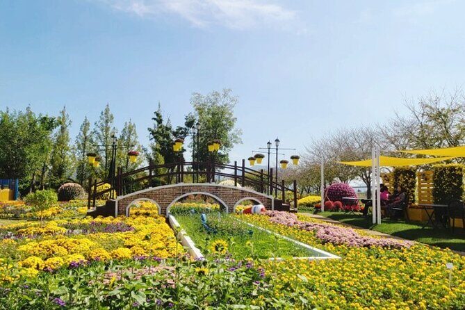 Suncheon one day tour from Seoul, Busan or Suncheon - Suncheon Bay Wetland Reserve: Nature Pause With Big-Name Recognition
