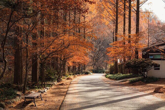 Suwon Hwaseong Fortress & Jangtaesan Full-Day Tour: Autumn Leaves - Key highlights worth planning around