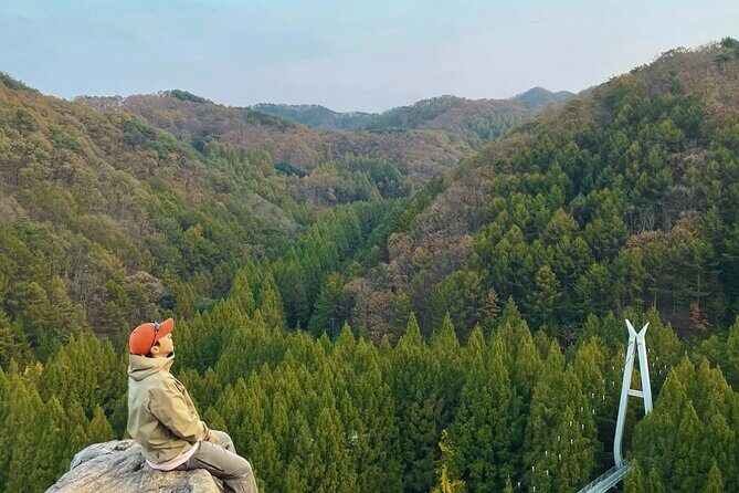 Suwon Hwaseong Fortress & Jangtaesan Full-Day Tour: Autumn Leaves - Jangtaesan Natural Forest: autumn colors and an easy win for your legs