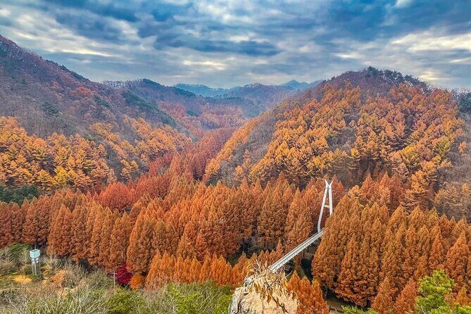 Suwon Hwaseong Fortress & Jangtaesan Full-Day Tour: Autumn Leaves - Price and value: $59.57 for transport, guide, and set admissions