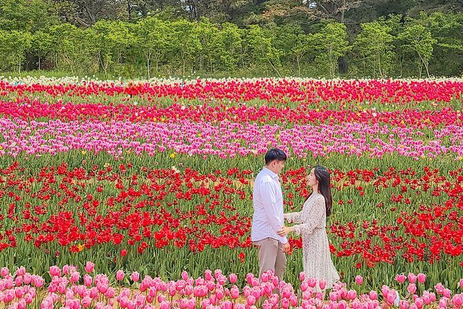 Taean Tulip Festival and Strawberry Picking Day Tour from Seoul - Key highlights worth your attention