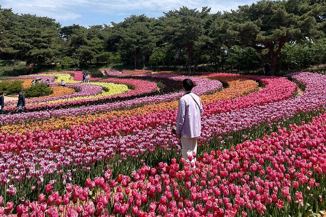 Taean Tulip Festival and Strawberry Picking Day Tour from Seoul - Who this tour fits best