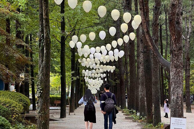 Trip to Nami Island with Petite France & Italian Village, Garden of Morning Calm - Getting There by Air-Conditioned Coach (and Why It Matters)