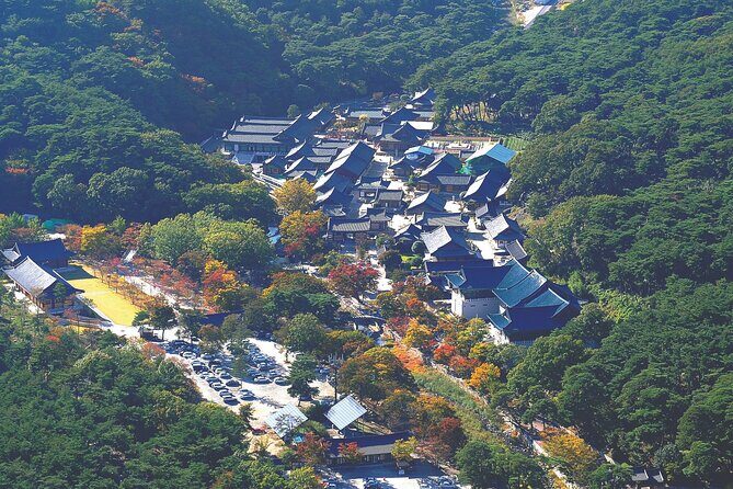 UNESCO Tongdosa Temple + Gourmet Eonyang Style Bulgogi Lunch - Price and value: is $212 per person actually fair?