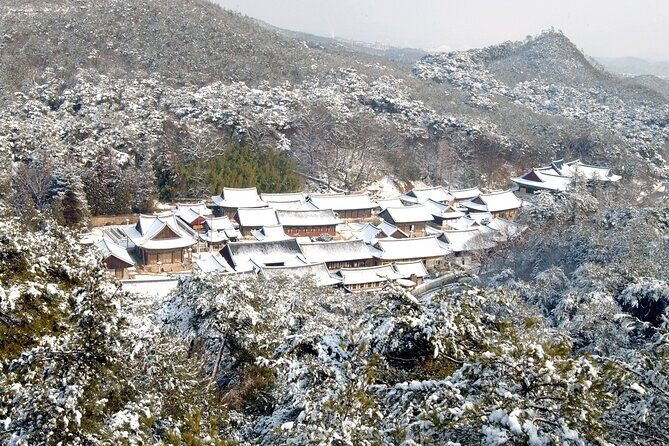 UNESCO Tongdosa Temple + Gourmet Eonyang Style Bulgogi Lunch - What to pay attention to on the day