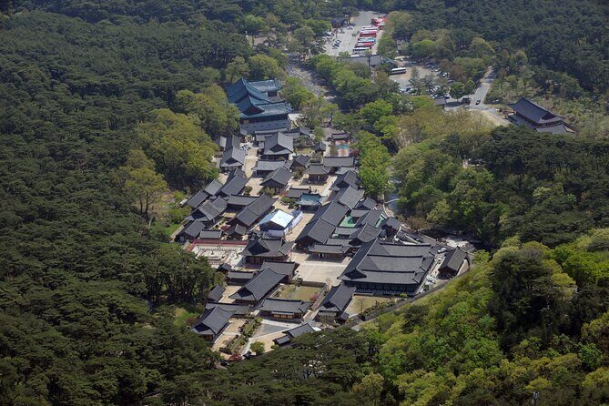 UNESCO Tongdosa Temple + Gourmet Eonyang Style Bulgogi Lunch - Should you book this Tongdosa + Eonyang bulgogi tour?