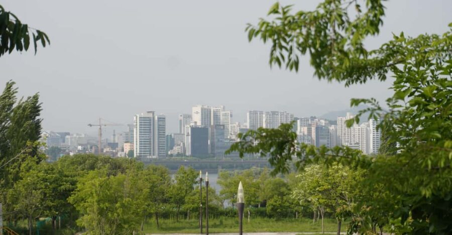 Unique Native Experience : Han River Picnic, Board game, BBQ - Key things to know before you go