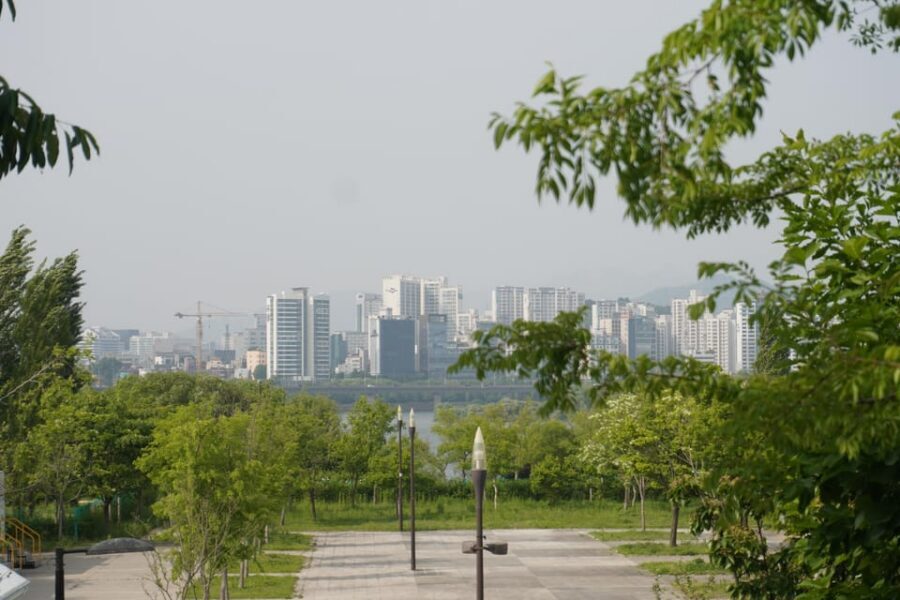 Unique Native Experience : Han River Picnic, Board game, BBQ - Quick Korean phrases you’ll actually use