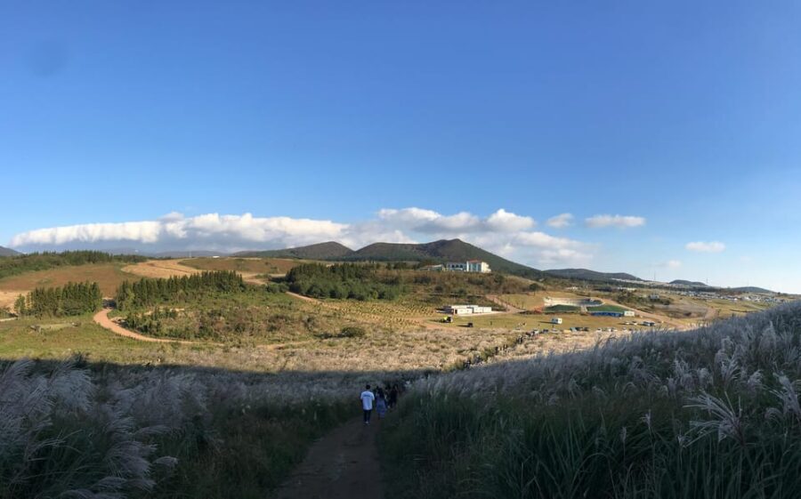 West of Jeju island Bus Tour from Seogwipo city, Jeju island - Windmill coastal road at Shinchang: where Jeju wind becomes real