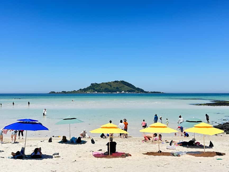 Western Jeju Healing UNESCO Small Group Day Tour - Gotjawal Provincial Park: The 60-Minute Oxygen Trail