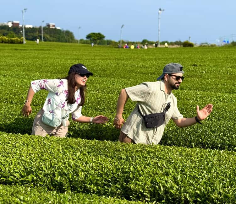 Western Jeju Healing UNESCO Small Group Day Tour - Lunch Stop: Eat Local Without Paying Big-Bus Prices